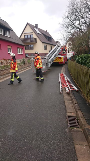 DSC_1070 bearbeitet.jpg